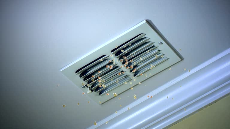 Best Air Duct Cleaning Company Near Me  in Morgantown, KY