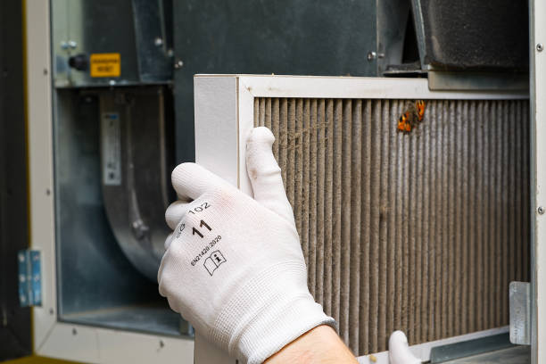 Best HVAC Duct Inspection Services  in Morgantown, KY