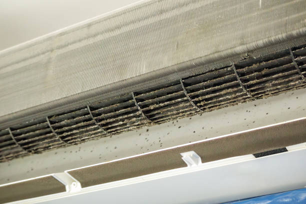 Best Air Vent Cleaning Services  in Morgantown, KY